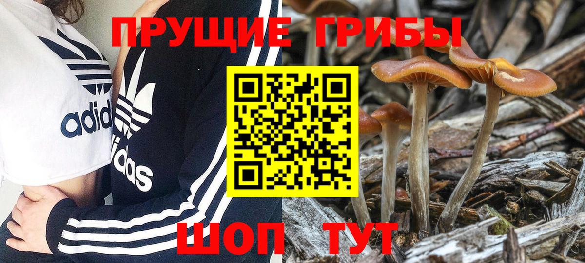 Псилоцибиновые грибы прущие грибы  Псилоцибиновые грибы Psilocybe  Вход с VPN  Бутурлиновка 